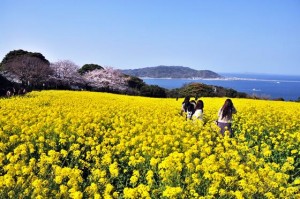 『なつやすみの巨匠』プロジェクト、目標達成御礼！